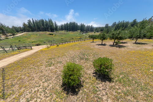 Idillyc fantasy view of a flower meadow in a forest with a lagoon on a sunny day with a blue sky in a green scenery during morning time. A vribrant landscape at springtime for a green background photo