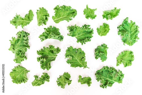 Kale leaves vegetable isolated on white background. Kale is considered a superfood because it's a great source of vitamins and minerals. Top view. 