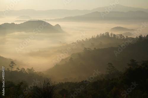 Misty sunrise in North Thailand