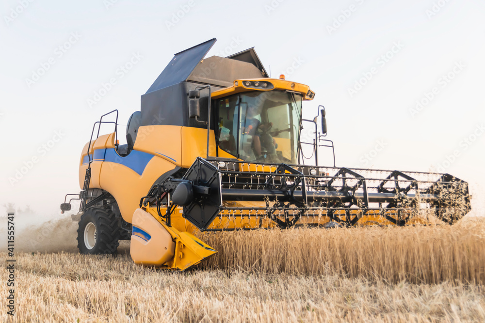 Obraz premium Combine harvester harvests wheat crop. agriculture in the cereal field