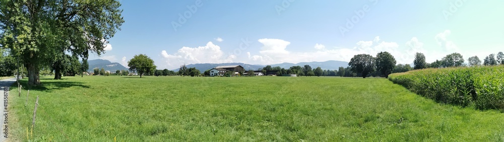Fototapeta premium Am Bodensee
