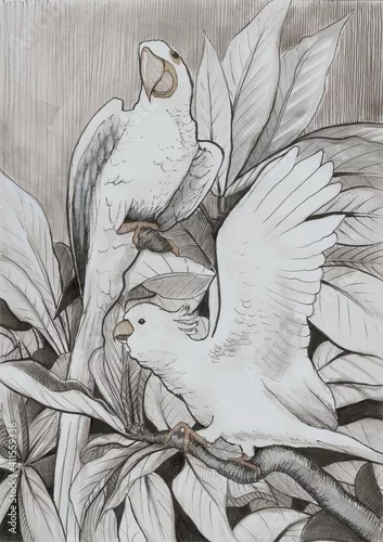 Obraz beżowe papugi