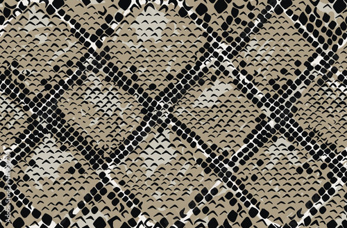 Snake skin seamless pattern. Vector illustration.