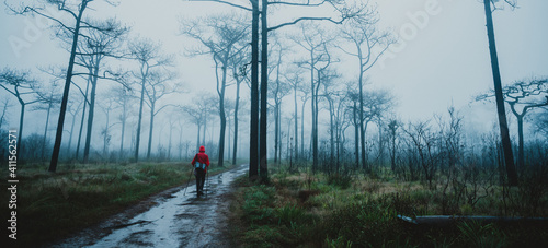 young woman traveler walkin...