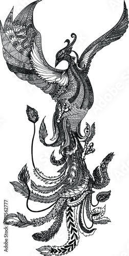 hoenix Fire bird illustration and character design.Hand drawn Phoenix tattoo Japanese and Chinese style,Legend of the Firebird is Russian fairy tales and it is creature from Slavic folklore.