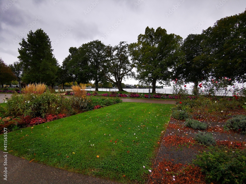 Fototapeta premium In der NAtur am Bodensee