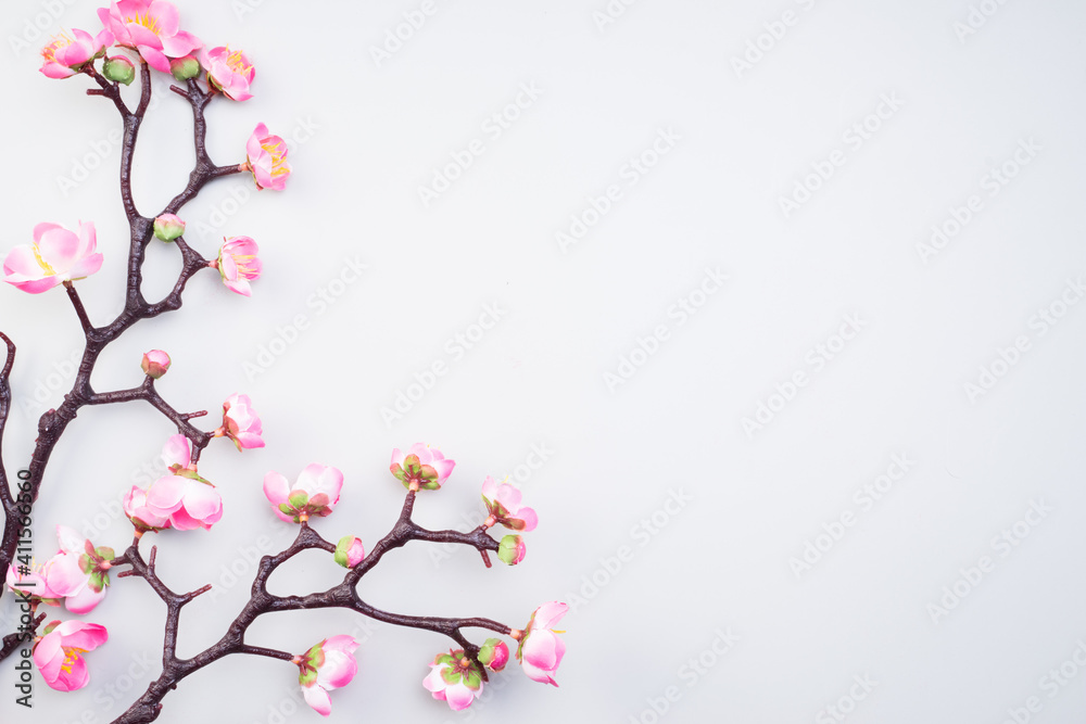 Chinese New Year design with cherry blossom and red lanterns on light grey background