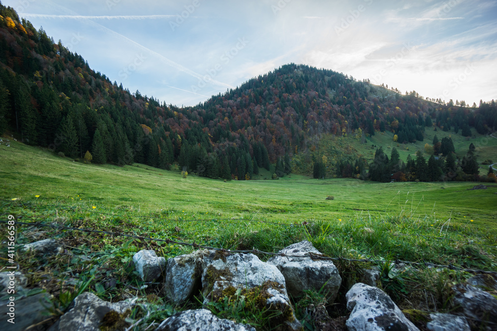 Obraz premium rocks laying around on meadow
