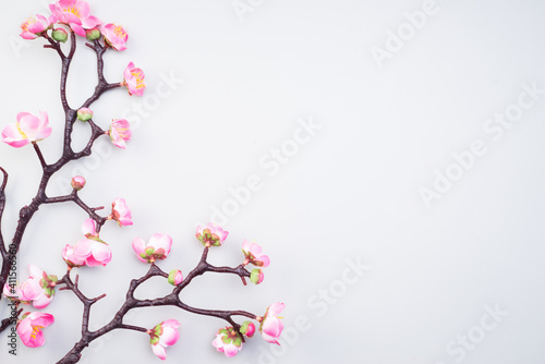 Chinese New Year design with cherry blossom and red lanterns on light grey background