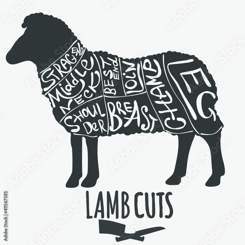 Lamb cuts butchery diagram. Vector illustration.