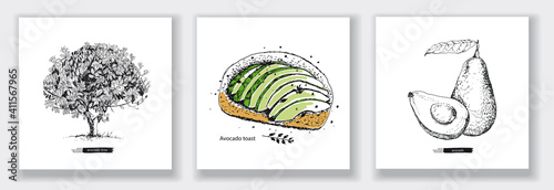 Card with Avocado tree, Avocado toast, Whole avocado