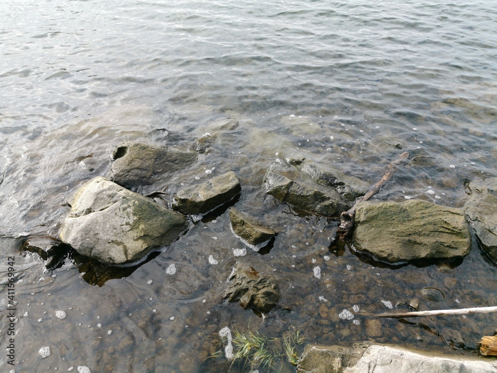 In der NAtur am Bodensee