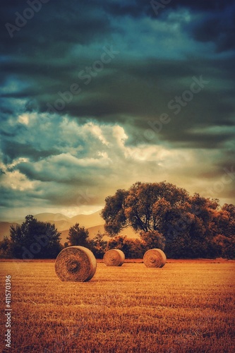 Fototapeta Hay Bales On Agricultural Field Against Cloudy Sky During Sunset