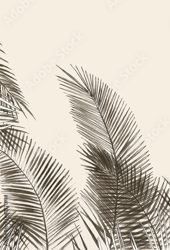 Dekoracja na wymiar  bezowe-liscie-palm
