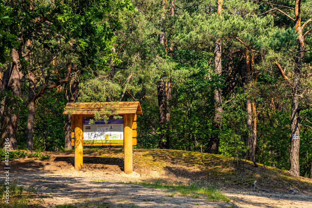 Touristic guide board at walking track in thicket of Puszcza Kampinoska Forest in Izabelin town near Warsaw in central Poland Touristic guide board at walking track in thicket of Puszcza Kampinoska Forest in Izabelin town near Warsaw in central Poland