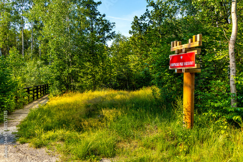 Touristic guide board at walking track in thicket of Puszcza Kampinoska Forest in Izabelin town near Warsaw in central Poland
