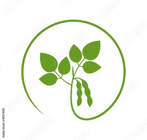 Soybean logo. Isolated soybean on white background