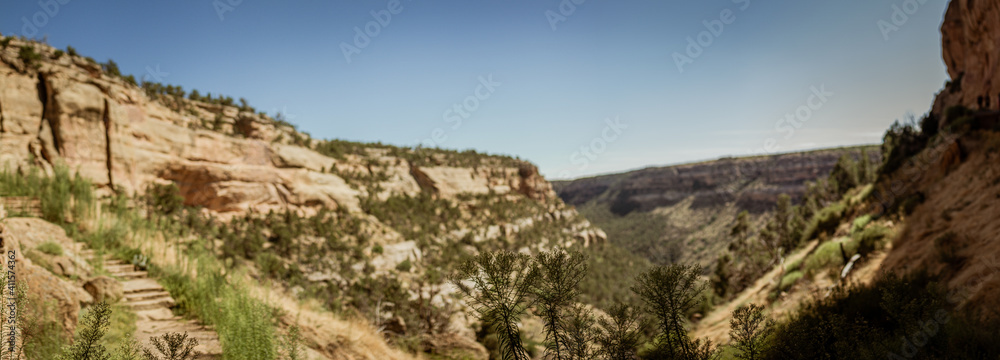 Blurry panorama shot of canyon in mesa verde national park with focus on plant infront in america