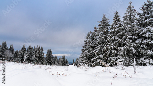 Winter im Harz auf dem Brocken, schneebedeckte Tannen im winter wonderland.  © Jørgson Photography