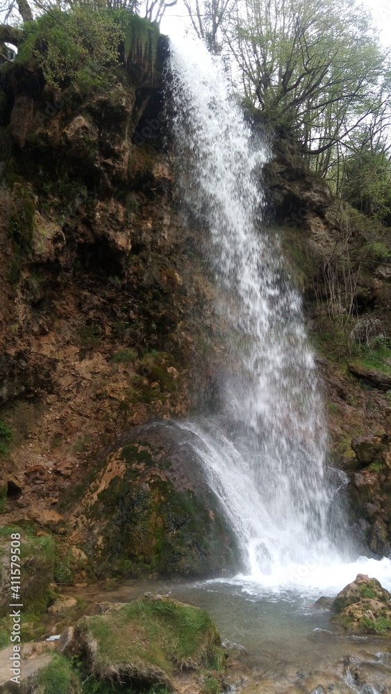 Fototapeta premium Gostilje