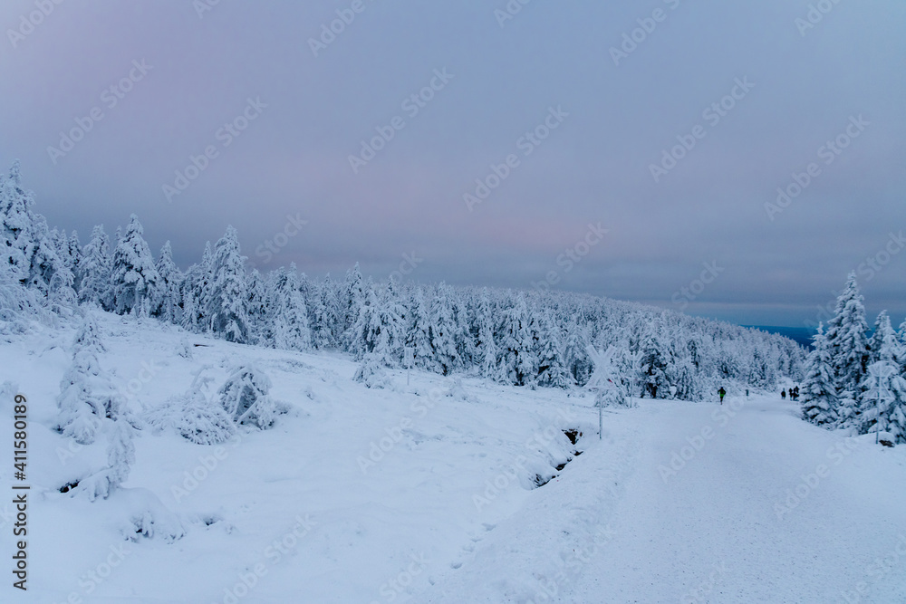 Winter im Harz auf dem Brocken, schneebedeckte Tannen im winter wonderland. Winter im Harz auf dem Brocken, schneebedeckte Tannen im winter wonderland.