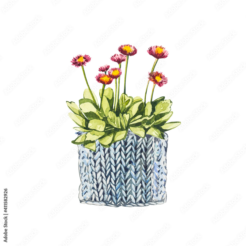 Watercolor small pink flowers in flower pot. Hand draw watercolor illustrations on white background. Easter collection.