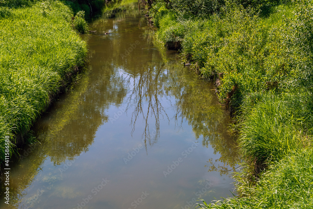 Small small river bank in the summer Small small river bank in the summer