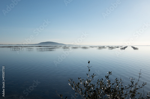 oyster and mussel farming 