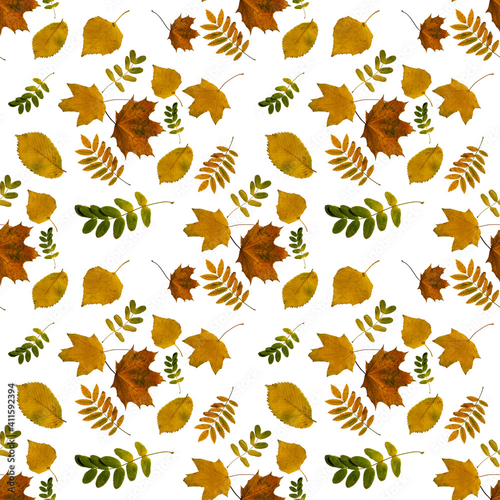 Seamless pattern of autumn colored leaves on a white background Seamless pattern of autumn colored leaves on a white background