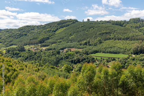 Dirty road and farms with forest around