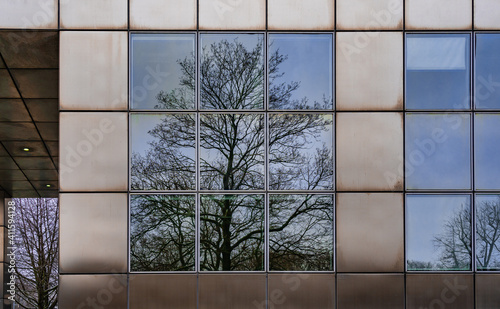 Fotografie Baumspiegelung in der Fassade eines Bürogebäudes