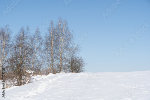 A rural landscape in the winter season, full of deep, fluffy snow. Trees without leaves. Large snowdrifts in agricultural fields in Poland.