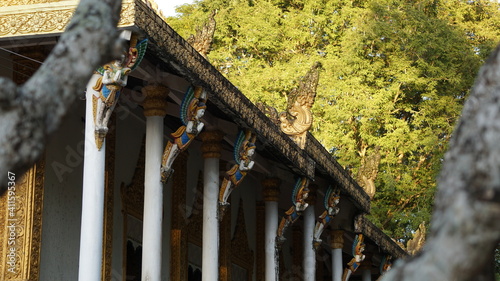 the roof of the Chua Doi Mahatup Bat Pagoda, Soc Trang, Mekong-Delta, Vietnam, January photo