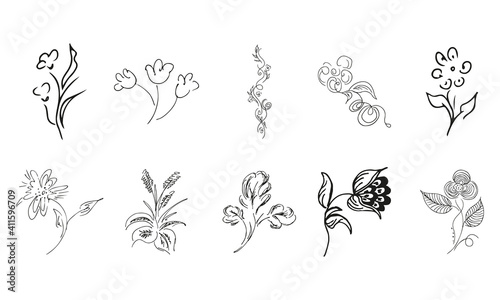 Fototapeta Naklejka Na Ścianę i Meble -  10 hand-drawn blossom wildflowers. Big collection of 10 hand-drawn roses. Big floral botanical set. Isolated on white background. Doodle simple vector collection.