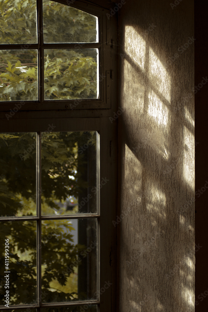Contrast light from a window in the castle. Forest behind the window
