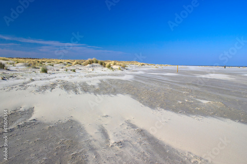 the dunes  Renesse  the Netherlands