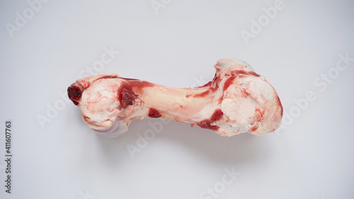 Large raw bone of big animal cow or pig on white background, top view, copy space. Bone for cooking broth. Food for dogs. Copy space.
