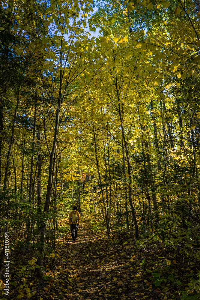 Hiking the Mekinac trail in Mauricie National Park (Quebec, Canada) on a beautiful fall day, with yellow and orange foliage