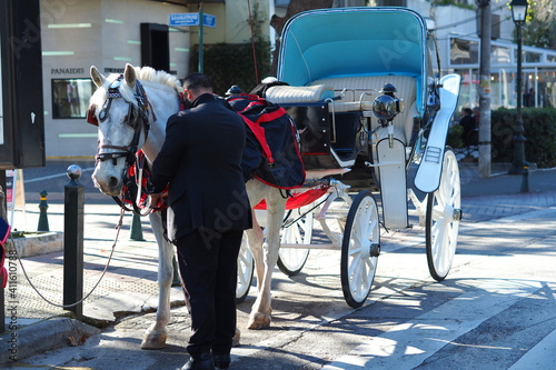 Detail photo of historic traditional horse and vintage horse carriage parked in Kifisia district, North Athens, Attica, Greece