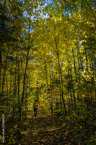 Hiking the Mekinac trail in Mauricie National Park (Quebec, Canada) on a beautiful fall day, with yellow and orange foliage