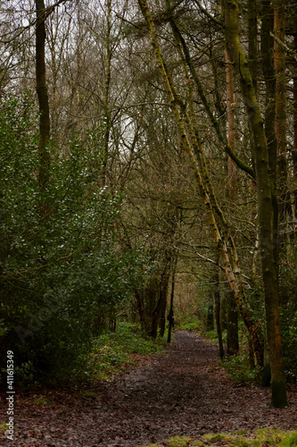Path in the woods, Coventry, England, UK © Olya GY