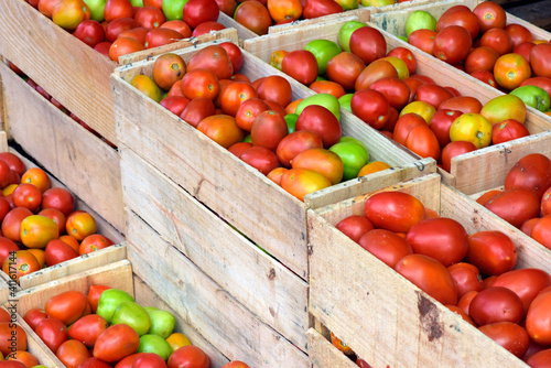 Geometric composition with tomato crates at the wholesale market stall photo