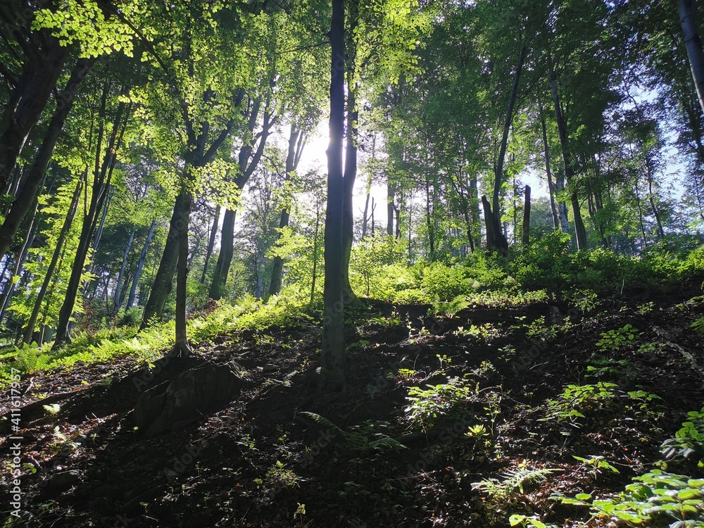 Obraz premium mountain tops