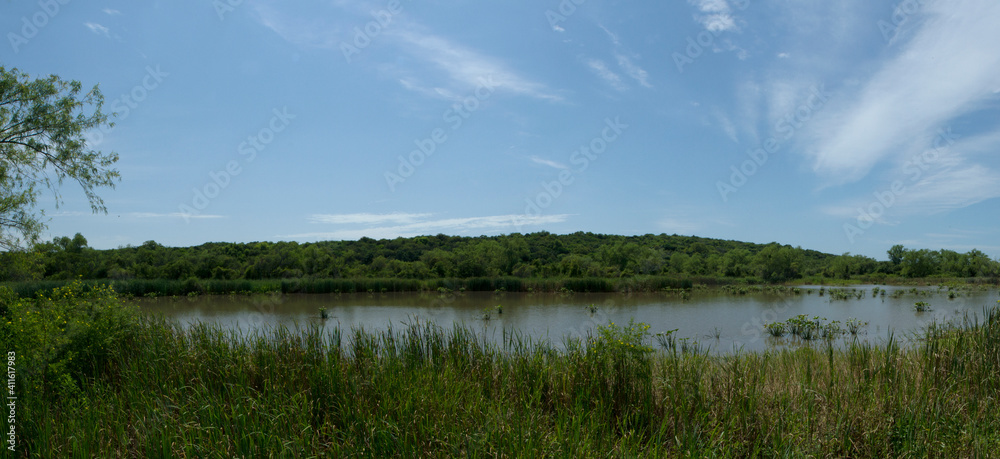 Tropical rainforest landscape. Panorama view of the beautiful green forest foliage, lake and reeds under a blue sky.