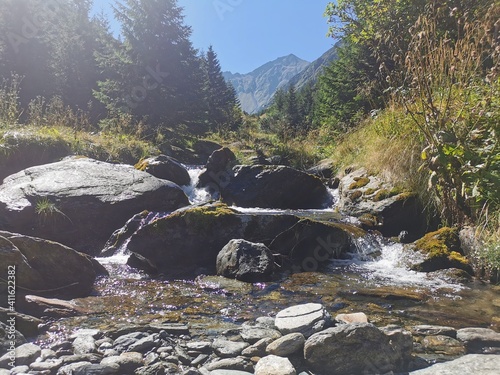 Mountain treasures