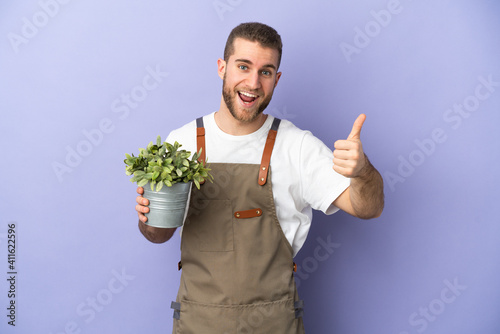 Gardener caucasian man holding a plant isolated on yellow background with thumbs up because something good has happened