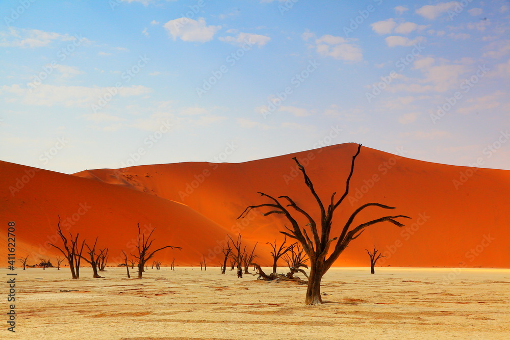 Bare Tree On Sand Dune Against Sky