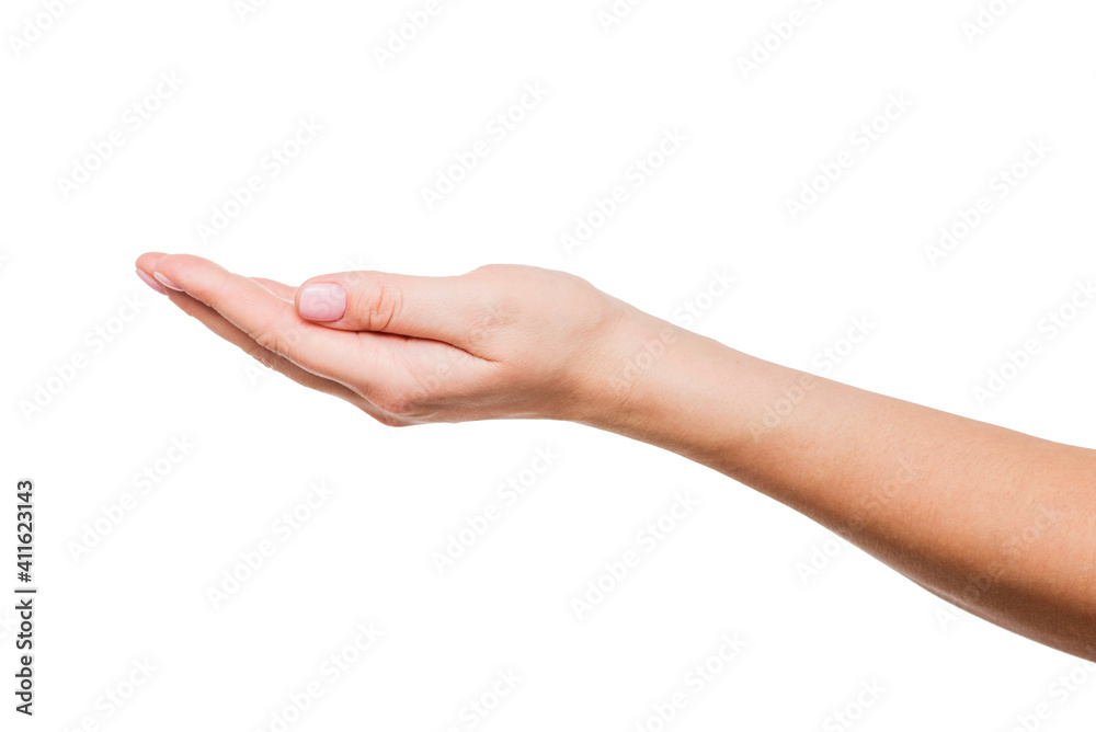Female hand on a white background. A beautiful womans open hand isolated on white background. Palm up Female hand on a white background. A beautiful womans open hand isolated on white background. Palm up
