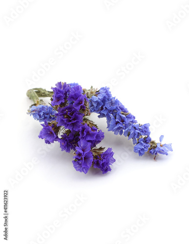 Blue flowers of statice limonium.