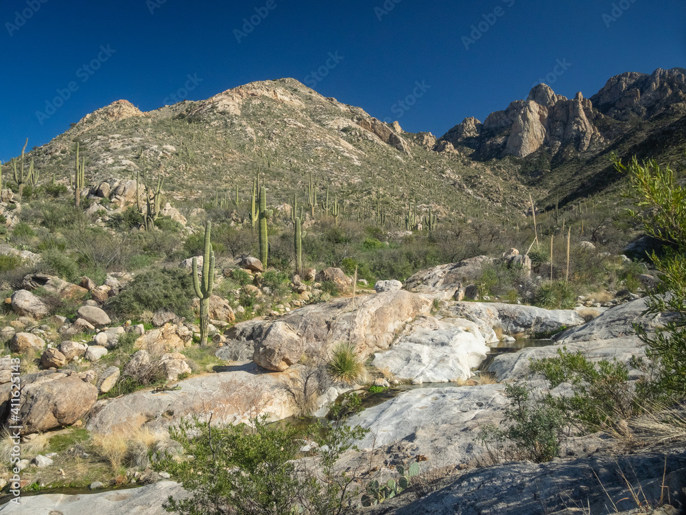 Naklejka premium Beautiful and serene Desert landscape